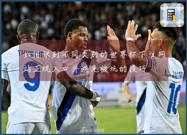 如何识别不同类别的世界杯下注网站正规入口并避免被坑的技巧