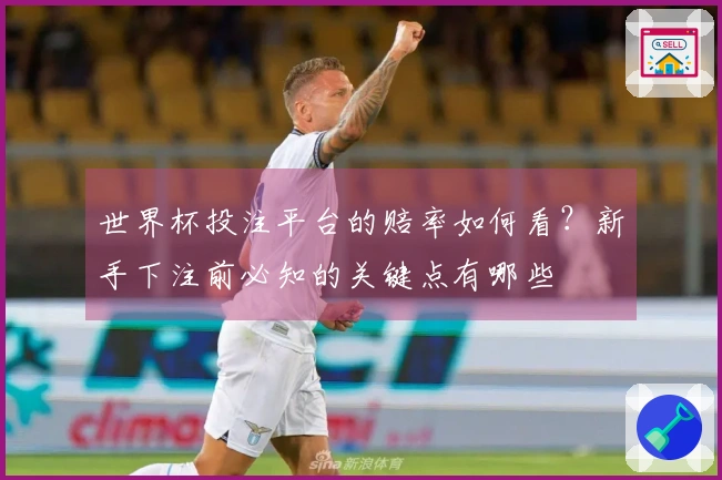 世界杯投注平台的赔率如何看？新手下注前必知的关键点有哪些