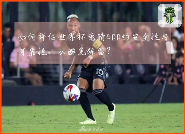 如何评估世界杯竞猜app的安全性与可靠性，以避免踩雷？