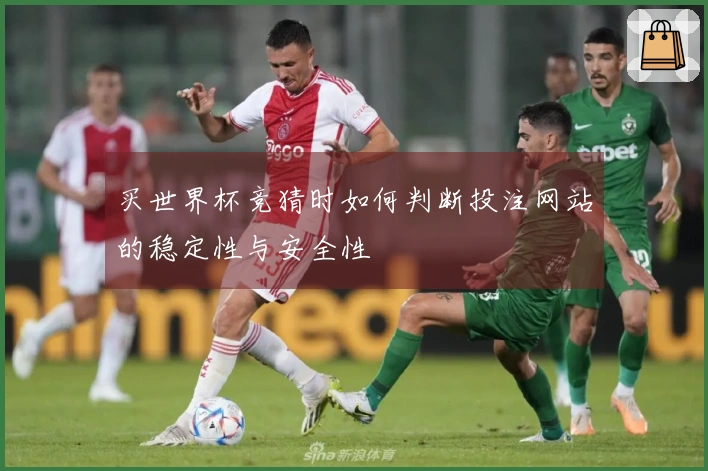 买世界杯竞猜时如何判断投注网站的稳定性与安全性