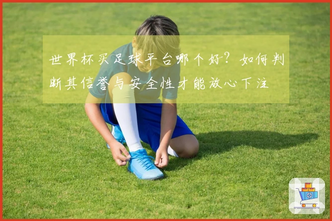 世界杯买足球平台哪个好？如何判断其信誉与安全性才能放心下注