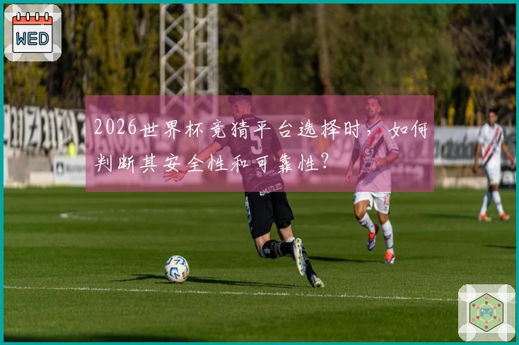 2026世界杯竞猜平台选择时，如何判断其安全性和可靠性？