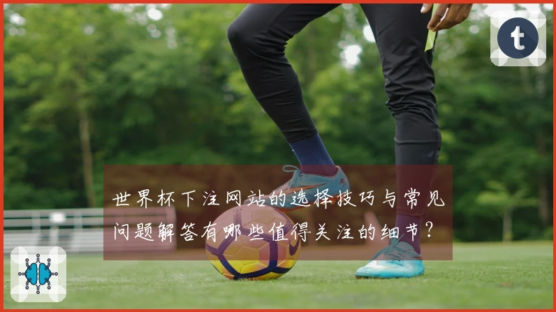 世界杯下注网站的选择技巧与常见问题解答有哪些值得关注的细节？
