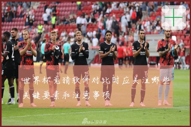 世界杯竞猜软件对比时应关注哪些关键要素和注意事项