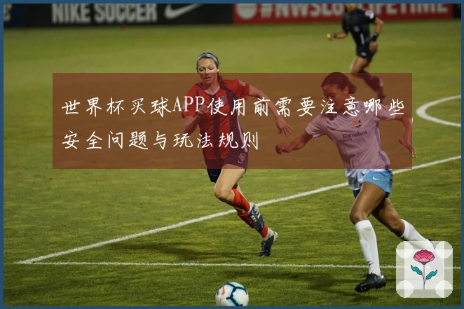 世界杯买球APP使用前需要注意哪些安全问题与玩法规则