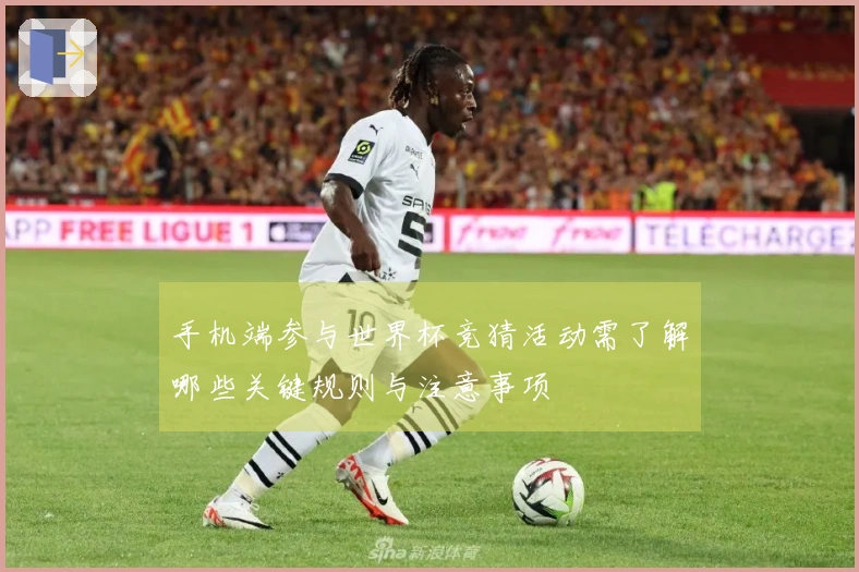 手机端参与世界杯竞猜活动需了解哪些关键规则与注意事项