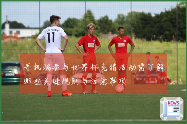 手机端参与世界杯竞猜活动需了解哪些关键规则与注意事项