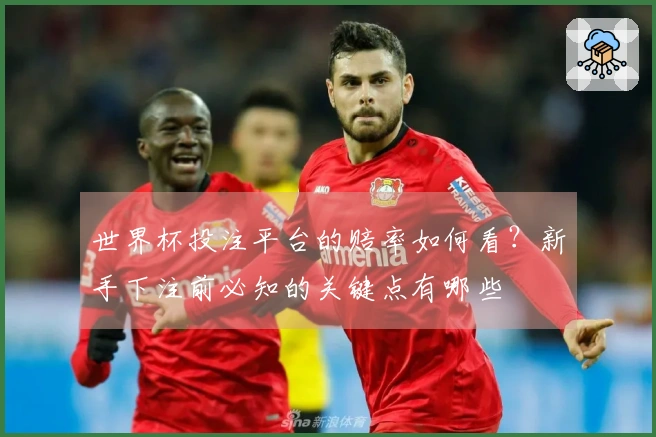 世界杯投注平台的赔率如何看？新手下注前必知的关键点有哪些