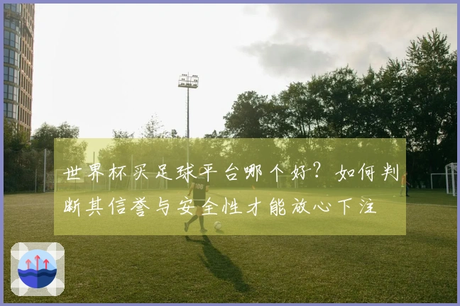 世界杯买足球平台哪个好？如何判断其信誉与安全性才能放心下注
