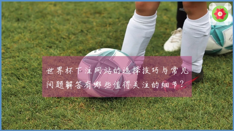 世界杯下注网站的选择技巧与常见问题解答有哪些值得关注的细节？