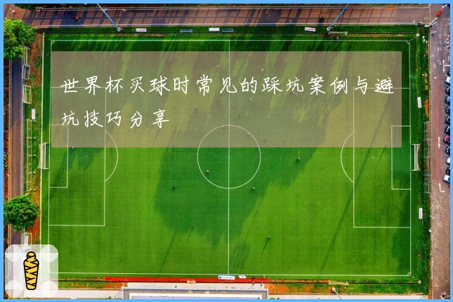 世界杯买球时常见的踩坑案例与避坑技巧分享