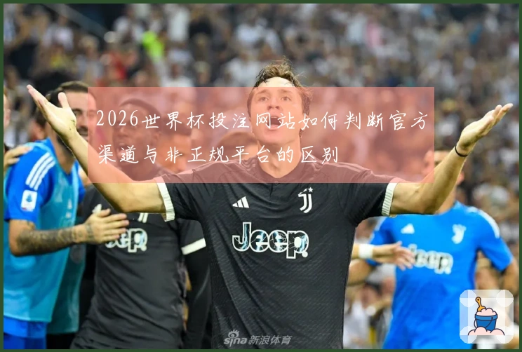 2026世界杯投注网站如何判断官方渠道与非正规平台的区别